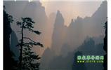 張家界國(guó)家森林公園、寶峰湖/黃龍洞、鳳凰古城、三峽八日游